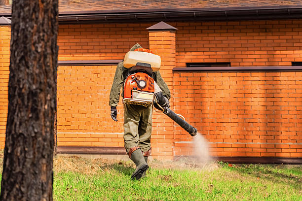 Trusted Termite Control service in Cave City, KY - Nex Pest Control